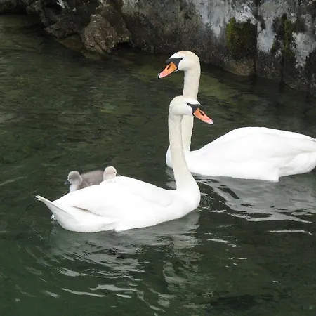 Seehaus Edith شقة