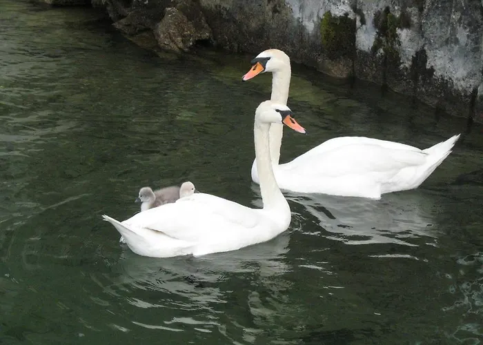 Seehaus Edith شقة